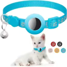 Collier gps chat