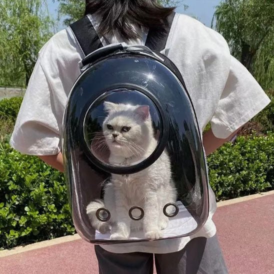 Sac à dos de transport pour chat. - Chat M'étonne !