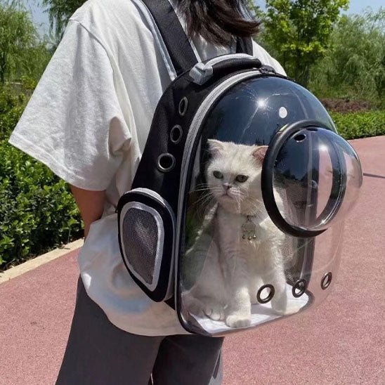 Sac à dos de transport pour chat. - Chat M'étonne !