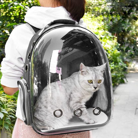 Sac à dos de transport pour chat. - Chat M'étonne !