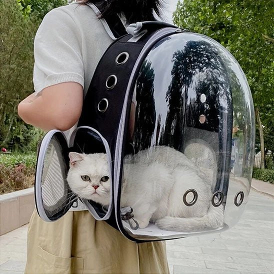 Sac à dos de transport pour chat. - Chat M'étonne !