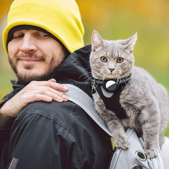 Collier chat |Collier de support AirTag pour chat - Chat M'étonne !