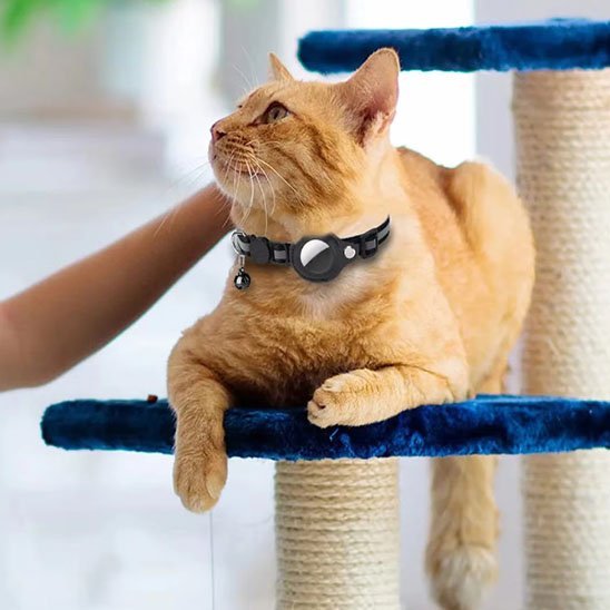 Collier chat |Collier de support AirTag pour chat - Chat M'étonne !
