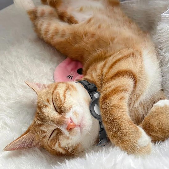 Collier chat |Collier de support AirTag pour chat - Chat M'étonne !