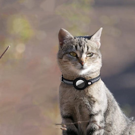 Collier chat |Collier de support AirTag pour chat - Chat M'étonne !